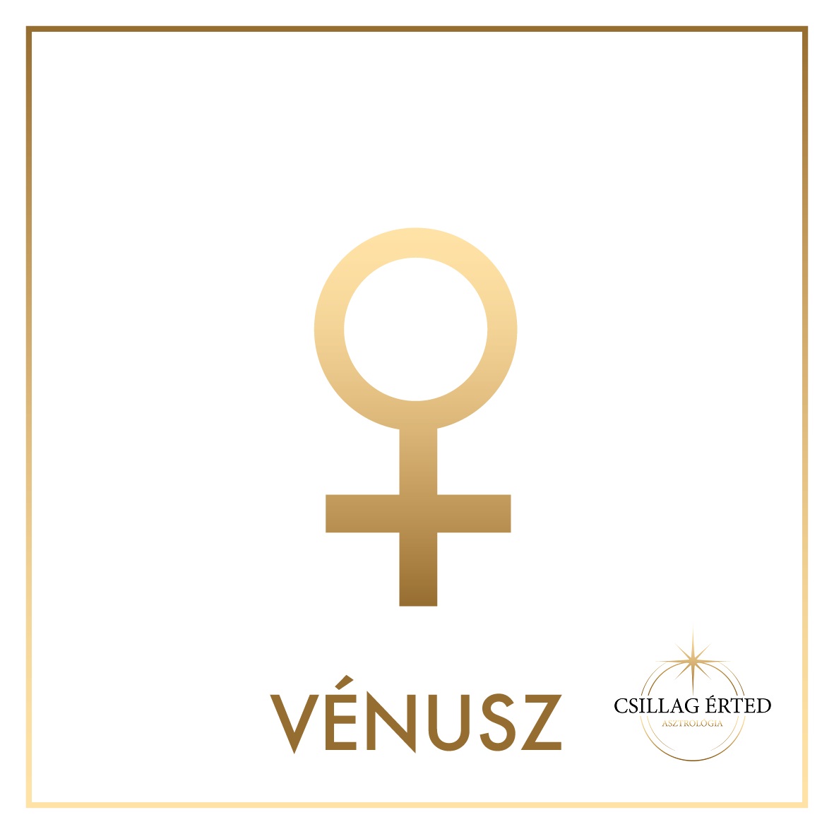 venusz logos